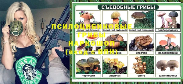 молекула духа Алзамай