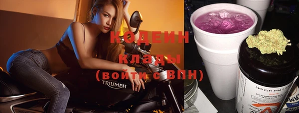 индика Покров