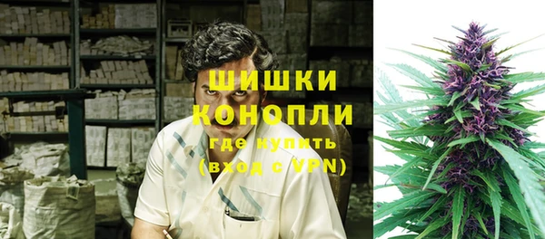 молекула духа Алзамай