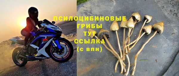 марки nbome Аркадак