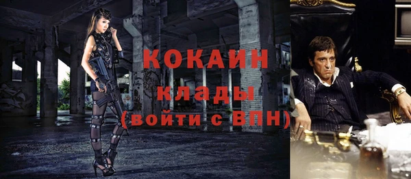 ешки Арсеньев