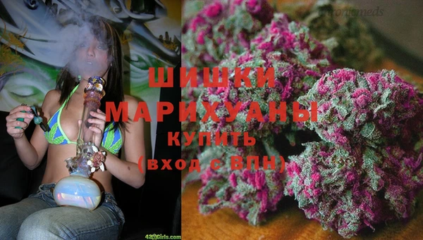 молекула духа Алзамай